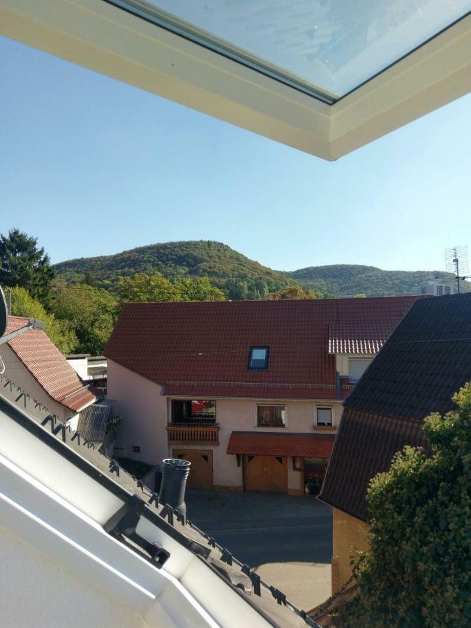 Gäste-appartement-kirsammer Appartement